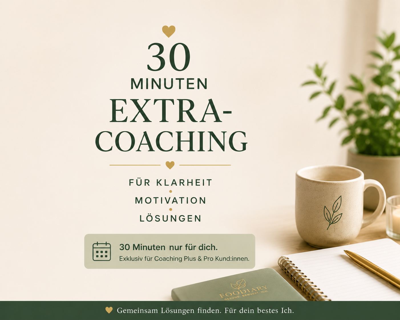 Exklusivcoaching30min